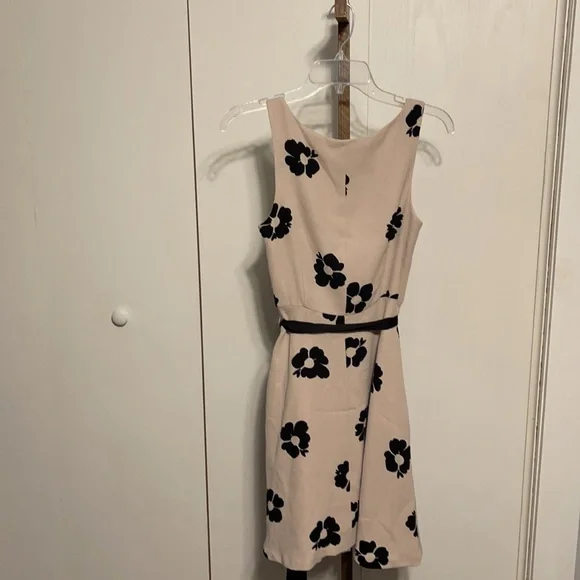 Cute Dress by Lauren Conrad - Picture 3 of 3